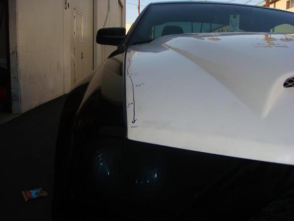 TRUFIBER HOODS for Those with GT500 front Fascia!-a53-3-.jpg