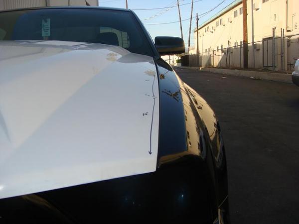 TRUFIBER HOODS for Those with GT500 front Fascia!-a53-4-.jpg