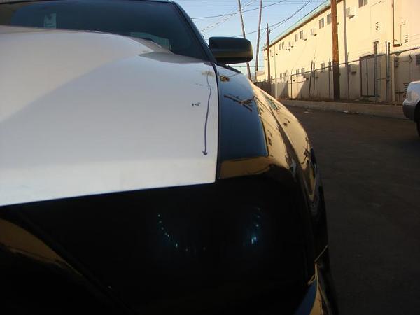 TRUFIBER HOODS for Those with GT500 front Fascia!-a53-5-.jpg