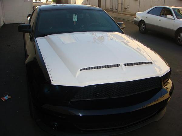 TRUFIBER HOODS for Those with GT500 front Fascia!-a53-.jpg