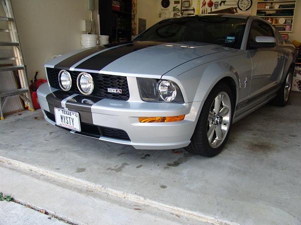 Fog bezels poll.-dsc07931.jpg