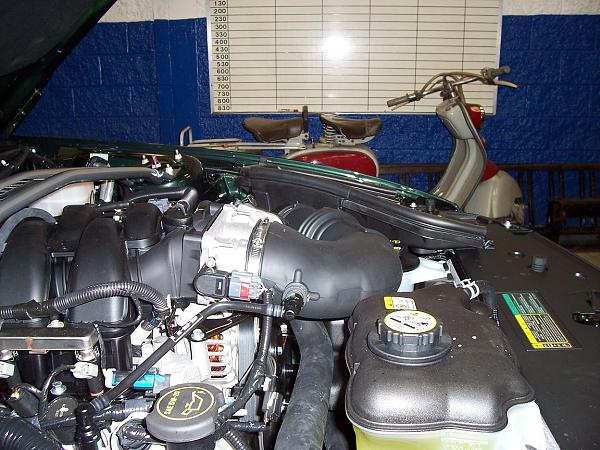 BRACE YOURSELF! The New Bullitt Strut Bar is Here!-bullittbracebob2.jpg