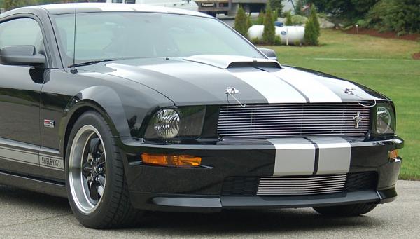 Shelby GT black lower grill center?-lowergrille.jpg