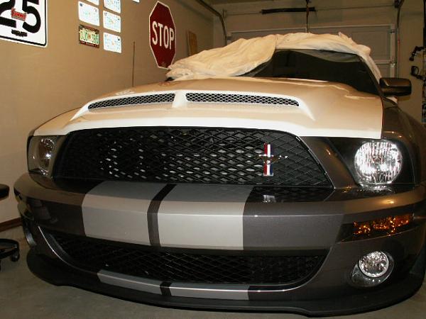 TRUFIBER HOODS for Those with GT500 front Fascia!-venomhood-007.jpg