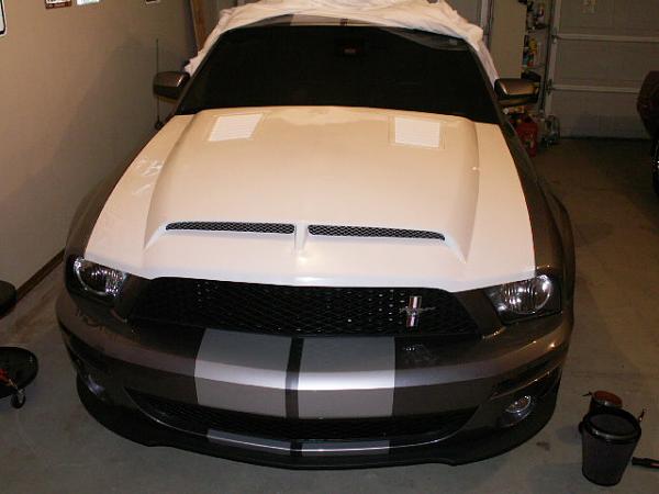 TRUFIBER HOODS for Those with GT500 front Fascia!-venomhood-010.jpg