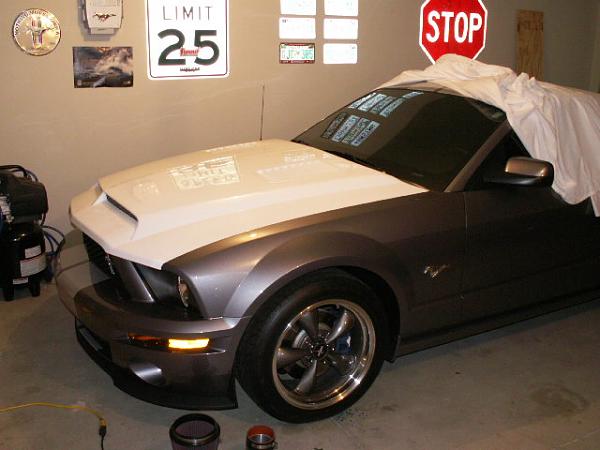 TRUFIBER HOODS for Those with GT500 front Fascia!-venomhood-011.jpg