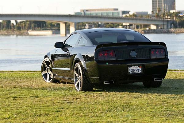 Pix of black Stang with SHR honeycomb trunk?-mustang-qm-shoot-rear.jpg