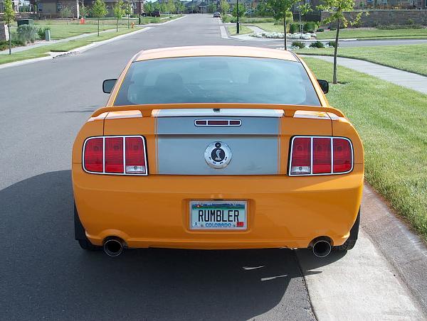 Remove the Gt Emblems and add the Shelby Snake? Anyone-hpim0268.jpg