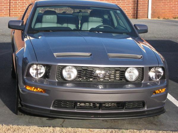 SHR Radiator Grill Insert !-img_0460_1.jpg