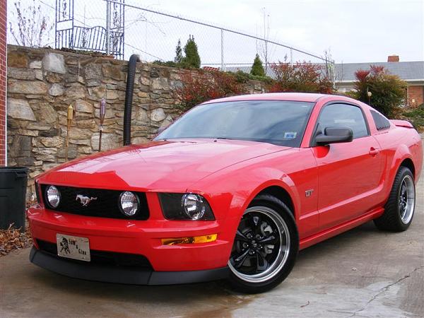 Black Bullitts??-dscf2036-medium-.jpg