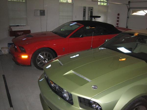 new custom hood paint-shelby.jpg