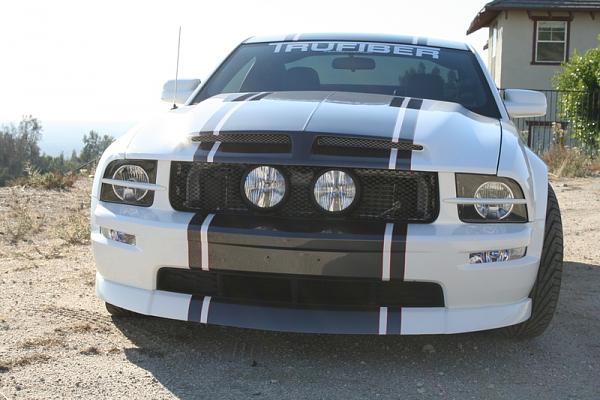 need a pic of Dream car hood on a torch red mustang-scotthood1.jpg