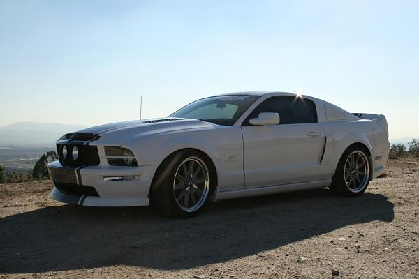 need a pic of Dream car hood on a torch red mustang-scotthood2.jpg