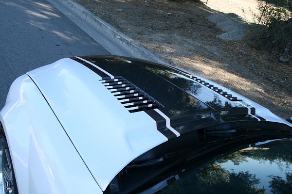 need a pic of Dream car hood on a torch red mustang-scotthood3.jpg