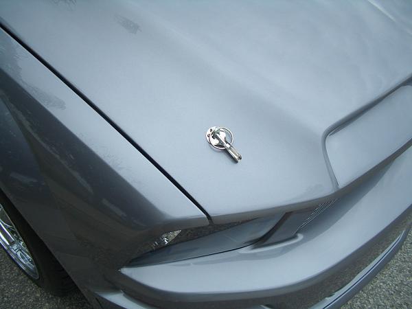 need a pic of Dream car hood on a torch red mustang-cimg2340.jpg
