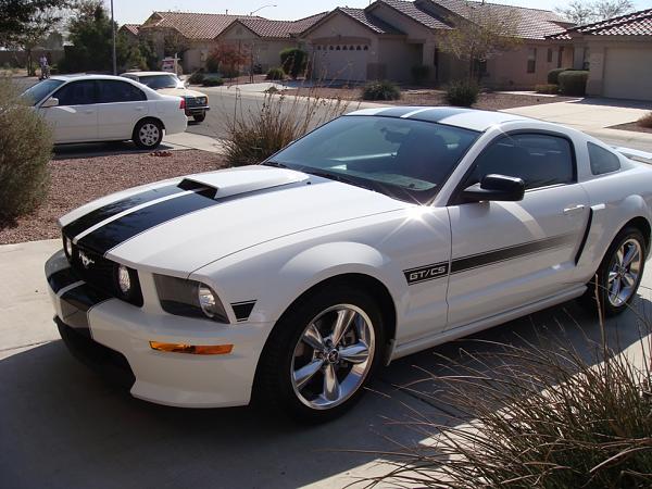 New additions-scoop-stripes.jpg