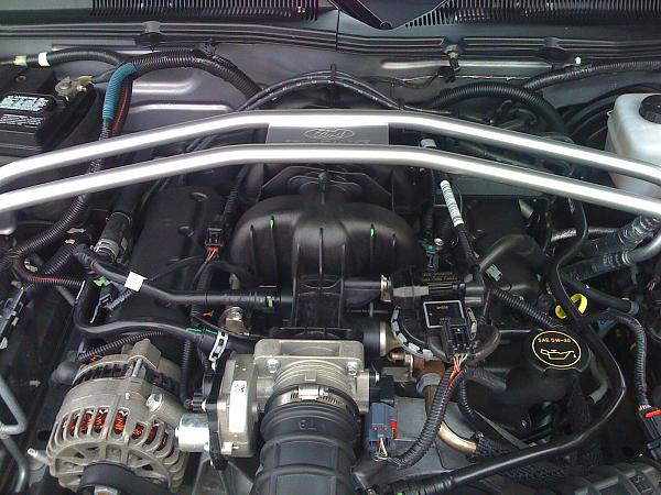 BRACE YOURSELF! The New Bullitt Strut Bar is Here!-img_0062.jpg