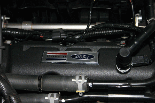 Let's see some pony packages!-img_2530.gif