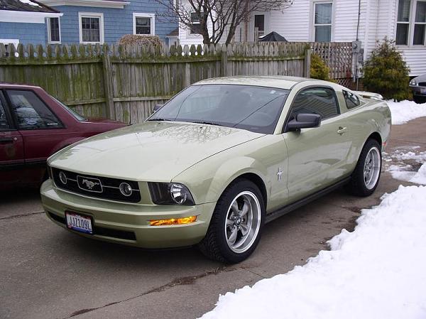 Let's see some pony packages!-009-030208.jpg