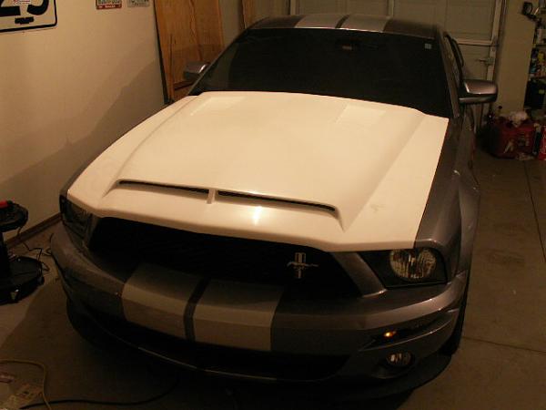 TRUFIBER HOODS for Those with GT500 front Fascia!-newvenomhood-001.jpg