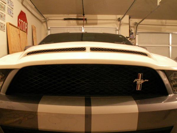 TRUFIBER HOODS for Those with GT500 front Fascia!-newvenomhood-002.jpg