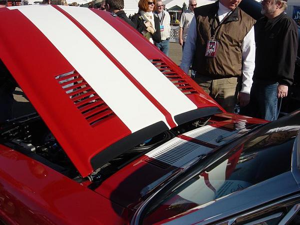 TRUFIBER HOODS for Those with GT500 front Fascia!-4722.jpg