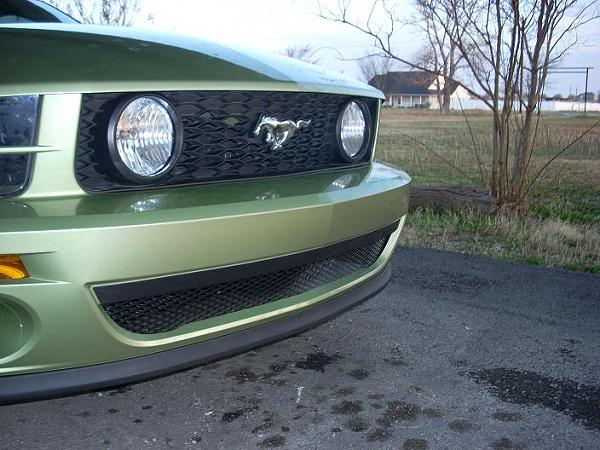PJ chrome trim on stock GT?-preview-saleen-02.jpg