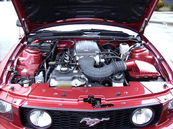 ENGINE BAY DRESS-UP-engine-bay-1.jpg