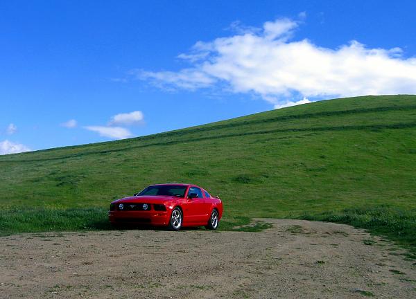 Smoked Headlights and Taillights Pictures-img_1701.jpg