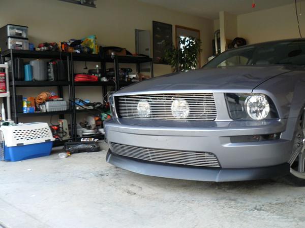 New Grill - What do you think-p1000321.jpg