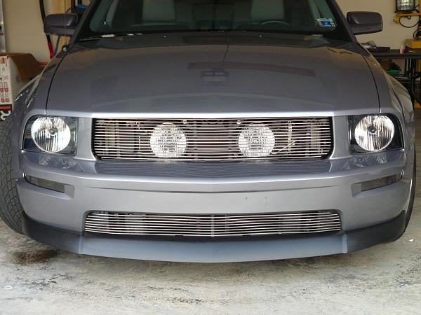 New Grill - What do you think-p1000322.jpg