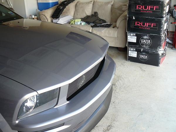 New Grill - What do you think-p1000324.jpg