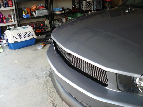 New Grill - What do you think-p1000325.jpg