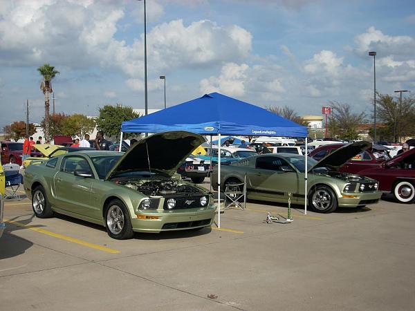 Roush conversion-seeing-double.jpg