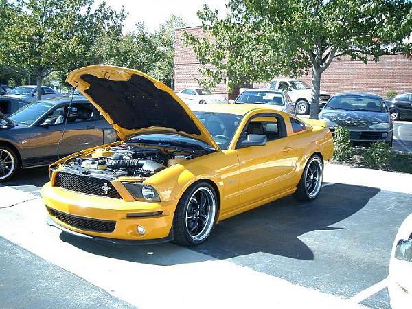 Show off your Lowered Mustang with 20's !-picture-514.jpg