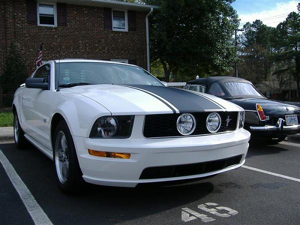 Did this last week-stripe-002-medium-.jpg