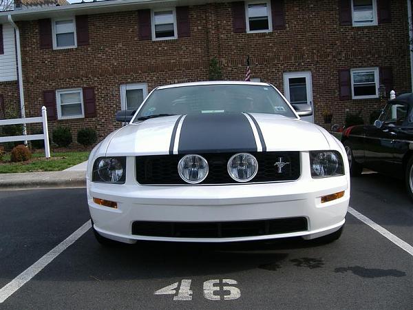 Did this last week-stripe-005-medium-.jpg