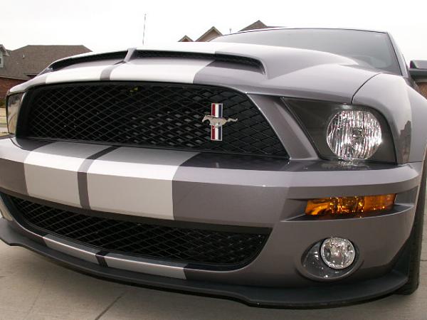 TRUFIBER HOODS for Those with GT500 front Fascia!-trufiberhood-010.jpg