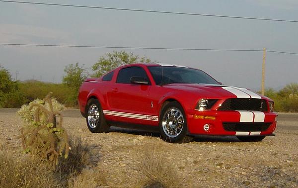 TRUFIBER HOODS for Those with GT500 front Fascia!-4329b.jpg
