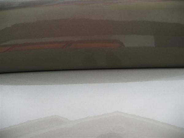 Painted GT500 Ducktail, where to buy?-sportwing-018-medium-.jpg