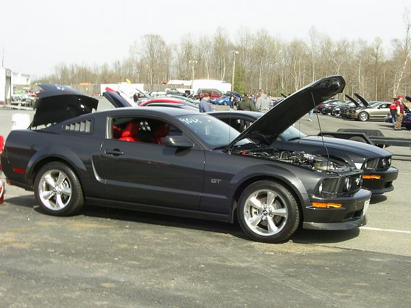 For SHR-picture-031.jpg