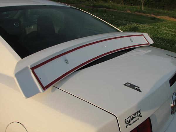 Painted GT500 Ducktail, where to buy?-robert-ptsy-camera-174.jpg