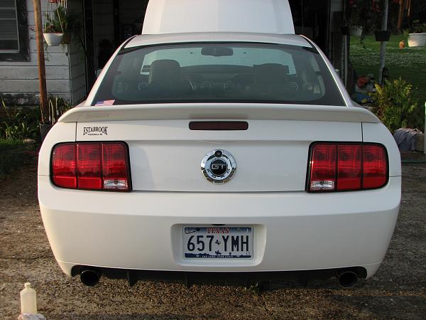 Painted GT500 Ducktail, where to buy?-robert-ptsy-camera-176.jpg