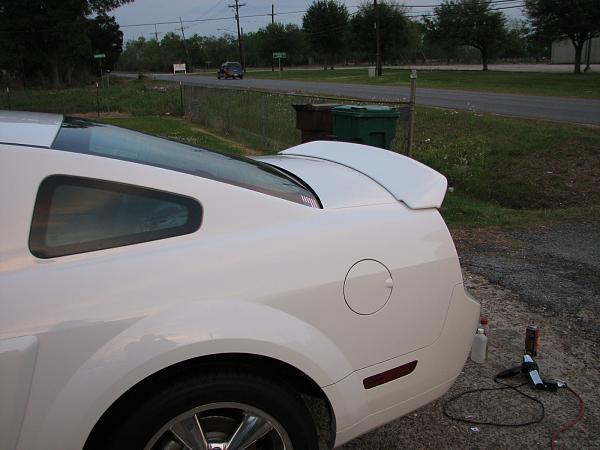 Painted GT500 Ducktail, where to buy?-robert-ptsy-camera-182.jpg