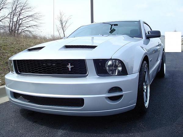 Prototype theme Mustang-mustang-pic-3.jpg