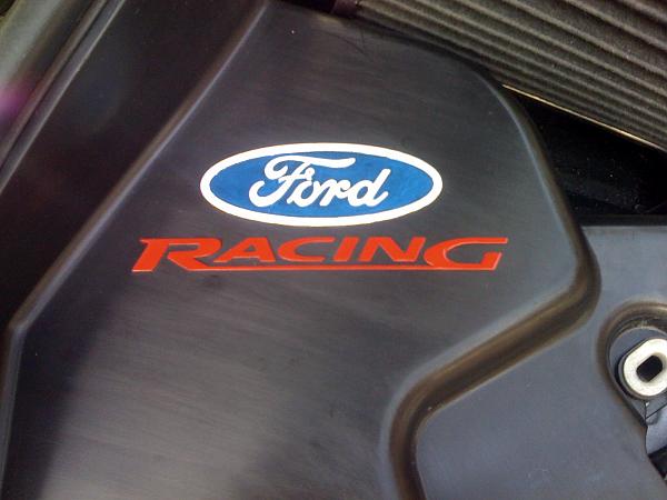 BRACE YOURSELF! The New Bullitt Strut Bar is Here!-img_0091.jpg