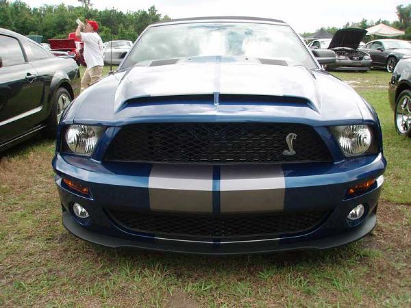 TRUFIBER HOODS for Those with GT500 front Fascia!-p4050082a.jpg