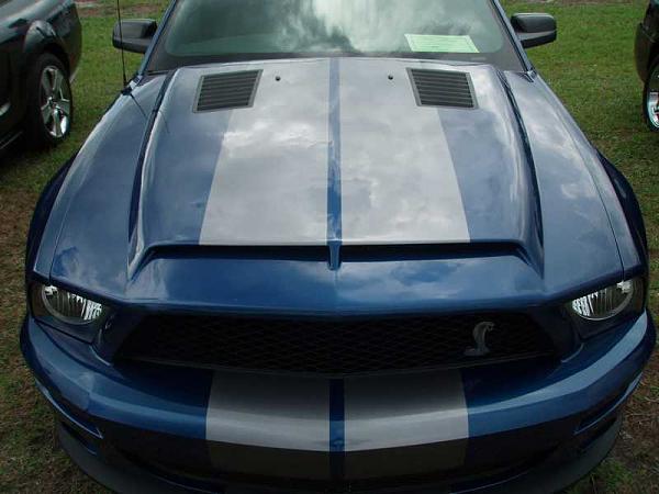 TRUFIBER HOODS for Those with GT500 front Fascia!-p4050083a.jpg