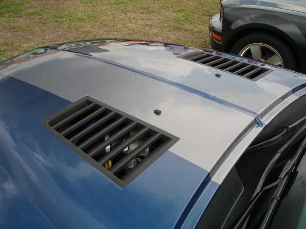 TRUFIBER HOODS for Those with GT500 front Fascia!-p4050084a.jpg