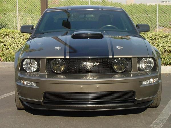 From Phoney to Poser in one day...Pics...-chinspoileron009large.jpg